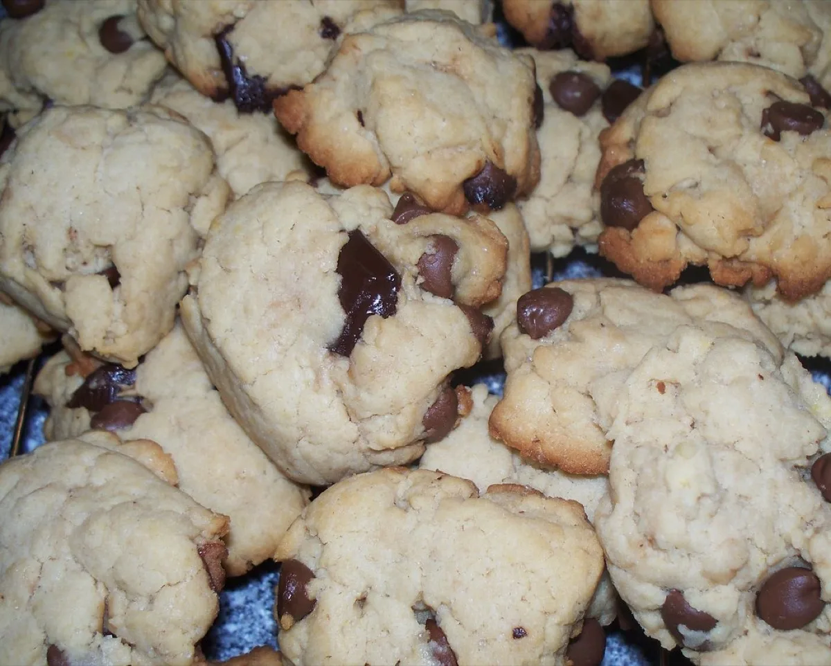 Chocoladekoekjes