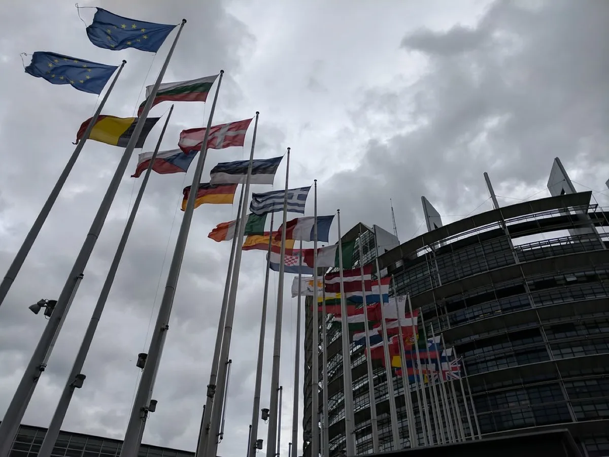 Vlaggen van EU-lidstaten voor het Europees Parlement